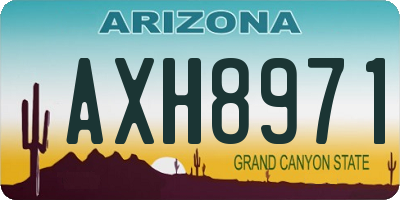 AZ license plate AXH8971