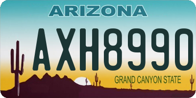 AZ license plate AXH8990
