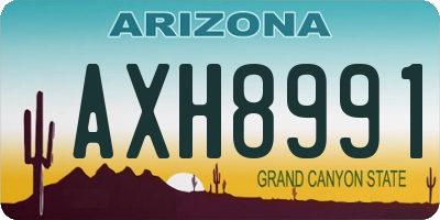 AZ license plate AXH8991