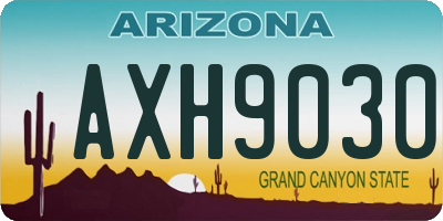 AZ license plate AXH9030