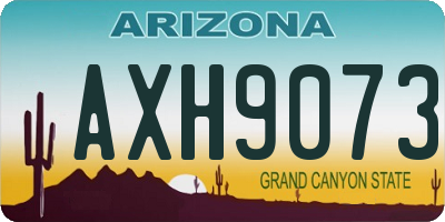 AZ license plate AXH9073