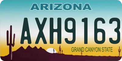 AZ license plate AXH9163