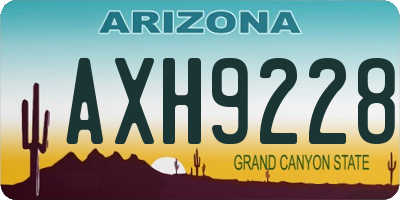 AZ license plate AXH9228