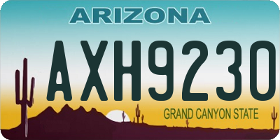 AZ license plate AXH9230