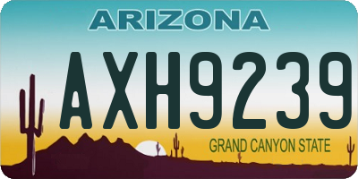 AZ license plate AXH9239