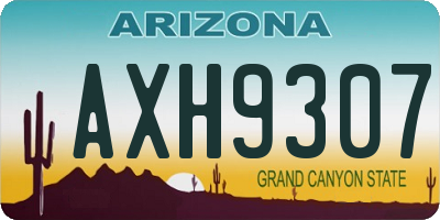 AZ license plate AXH9307