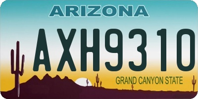 AZ license plate AXH9310