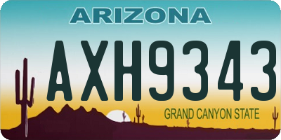 AZ license plate AXH9343