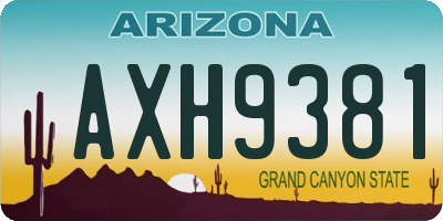 AZ license plate AXH9381