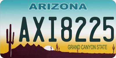 AZ license plate AXI8225