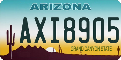 AZ license plate AXI8905