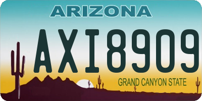 AZ license plate AXI8909