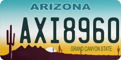 AZ license plate AXI8960