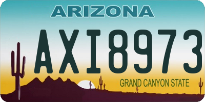 AZ license plate AXI8973