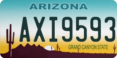 AZ license plate AXI9593