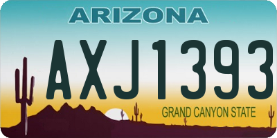 AZ license plate AXJ1393