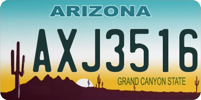 AZ license plate AXJ3516