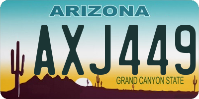 AZ license plate AXJ449