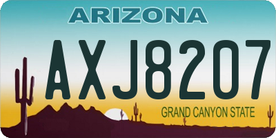 AZ license plate AXJ8207