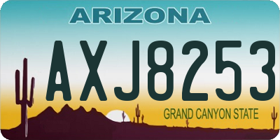 AZ license plate AXJ8253