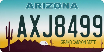 AZ license plate AXJ8499