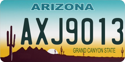 AZ license plate AXJ9013