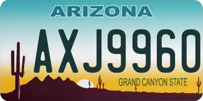 AZ license plate AXJ9960
