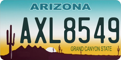 AZ license plate AXL8549