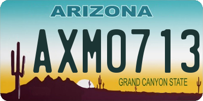 AZ license plate AXM0713