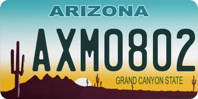 AZ license plate AXM0802