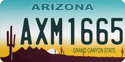 AZ license plate AXM1665