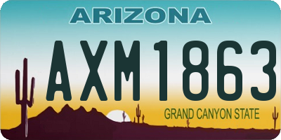 AZ license plate AXM1863