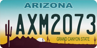 AZ license plate AXM2073