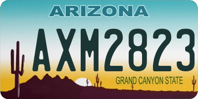 AZ license plate AXM2823