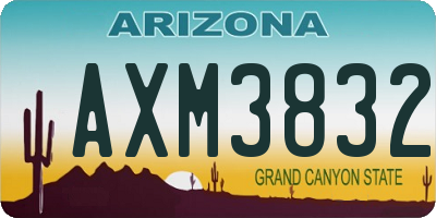 AZ license plate AXM3832