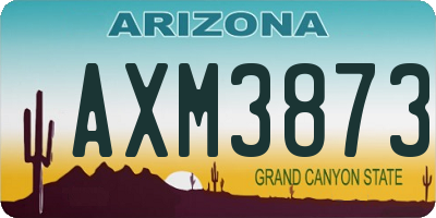 AZ license plate AXM3873