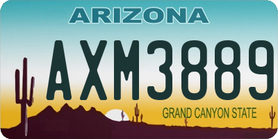 AZ license plate AXM3889