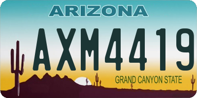 AZ license plate AXM4419