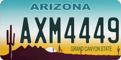AZ license plate AXM4449