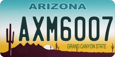 AZ license plate AXM6007