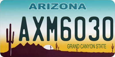 AZ license plate AXM6030