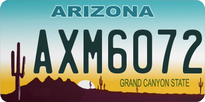AZ license plate AXM6072