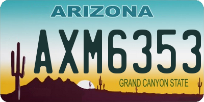 AZ license plate AXM6353