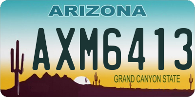 AZ license plate AXM6413