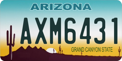 AZ license plate AXM6431