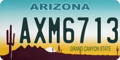 AZ license plate AXM6713