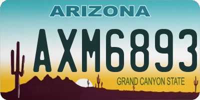 AZ license plate AXM6893
