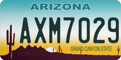 AZ license plate AXM7029