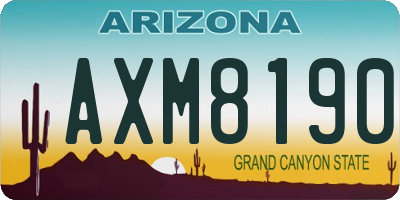 AZ license plate AXM8190