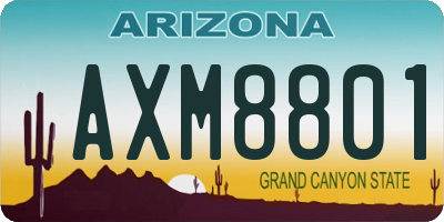 AZ license plate AXM8801